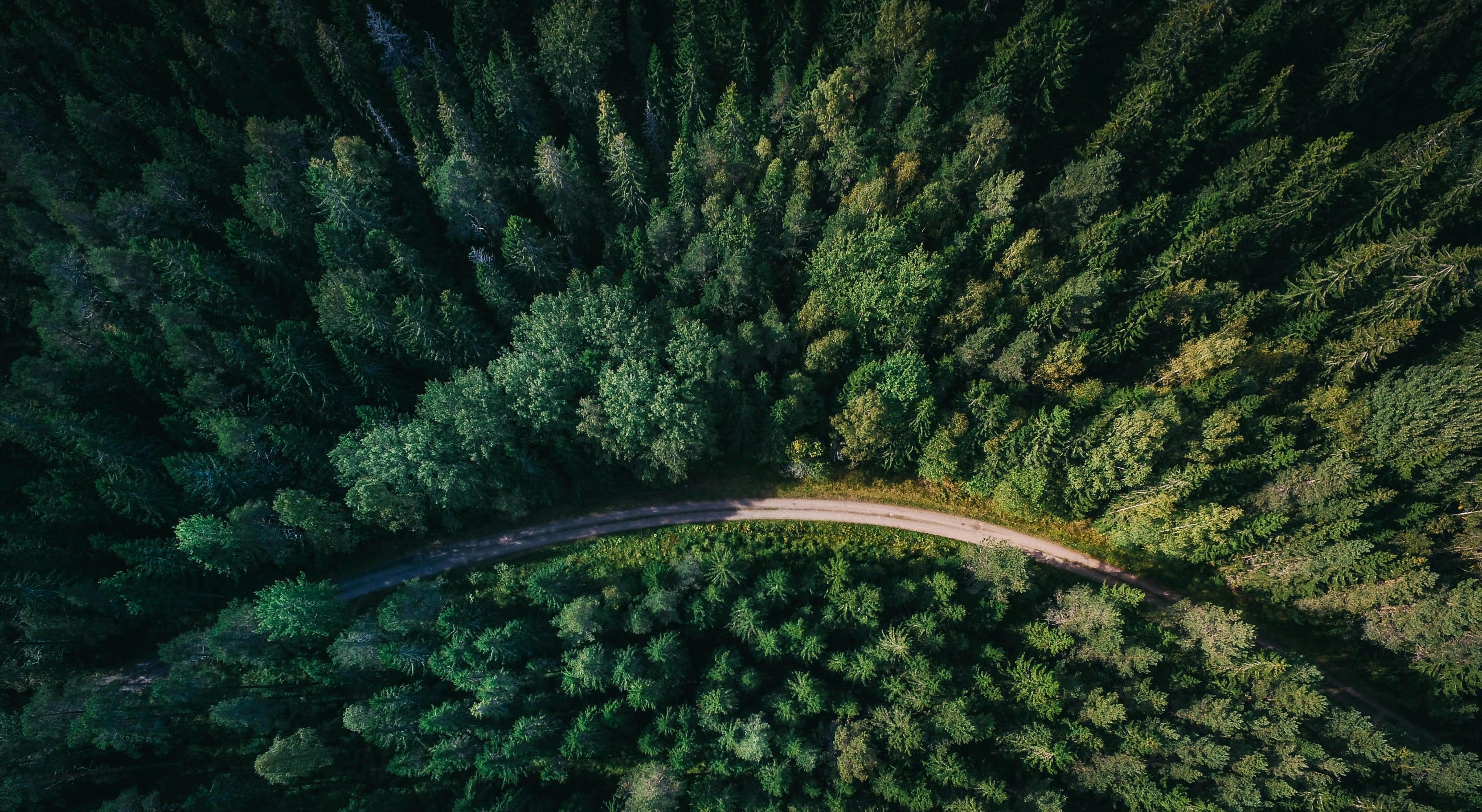 Sustainability